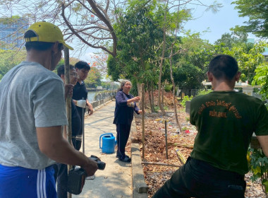 Big Cleaning Day ครั้งที่ 1 พารามิเตอร์รูปภาพ 9